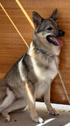 LOBITA Image 4